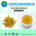 GMP turmeric powder price/turmeric extract